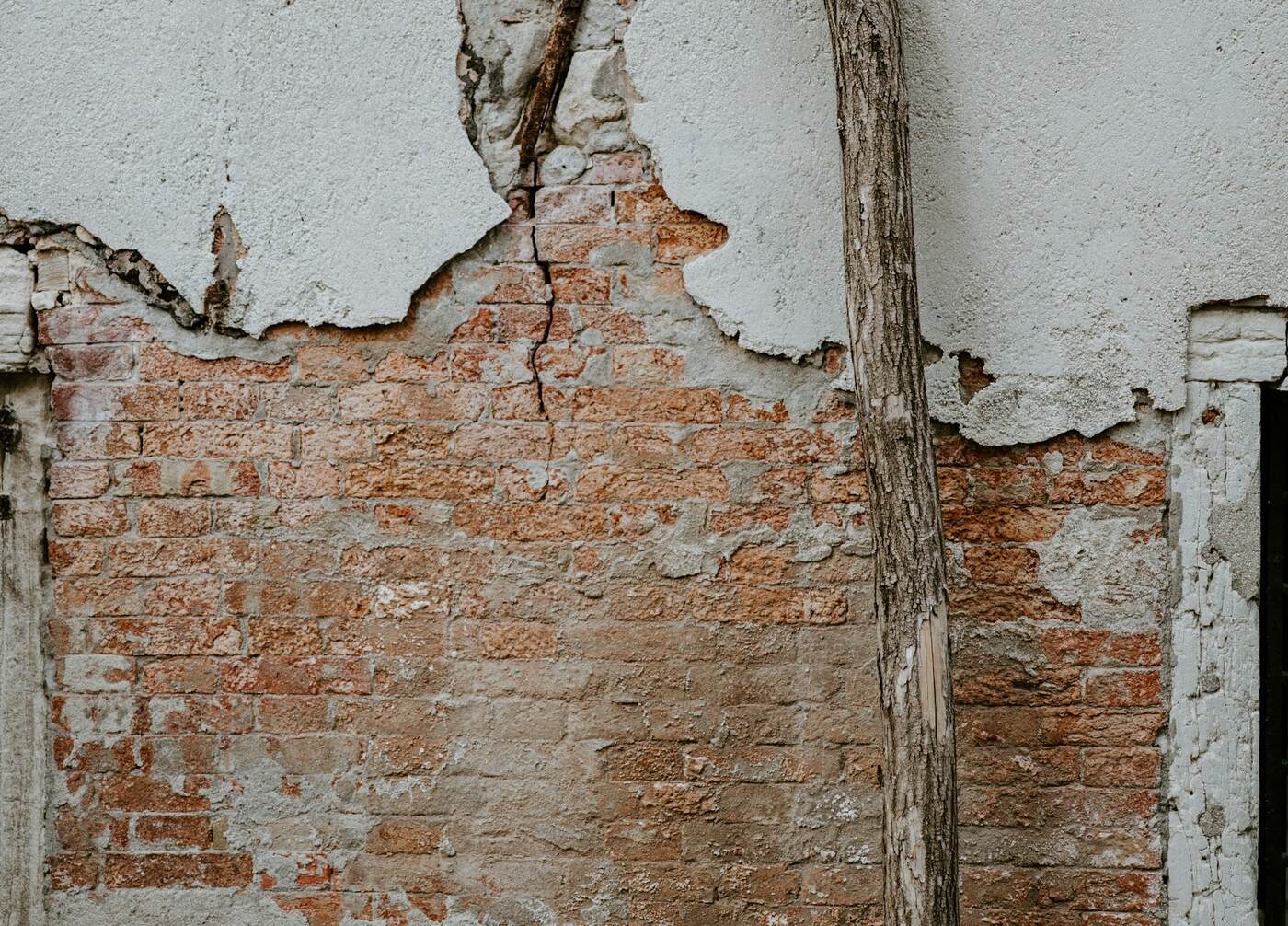 Damp & Re-plastering — Surrey Plasterers, plastering and rendering specialists in West Molesey, Surrey